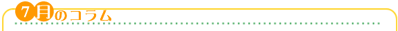 ７月のコラム